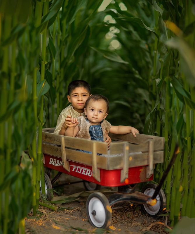 My Little Brother and I фото превью