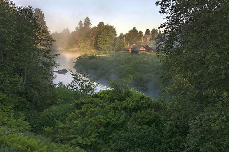 утро деревне фото превью