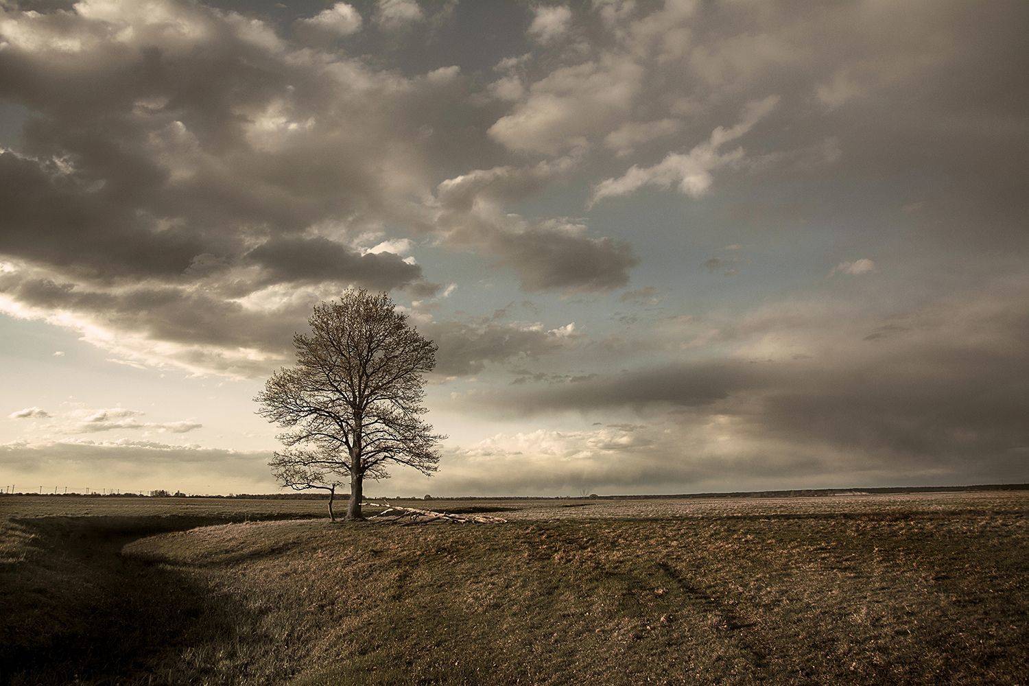 , Волоцков Александр