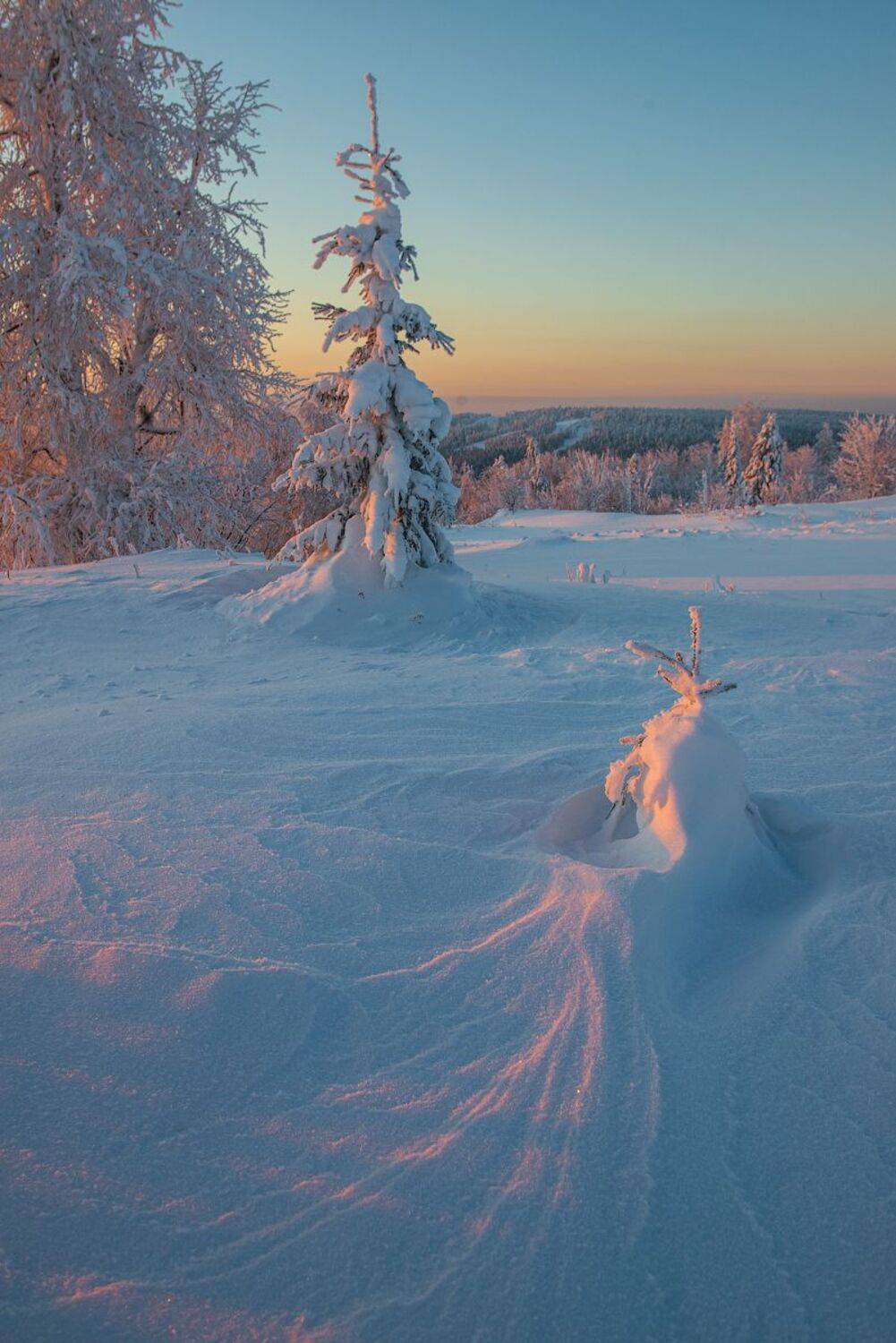 , Кутыгин Эдуард