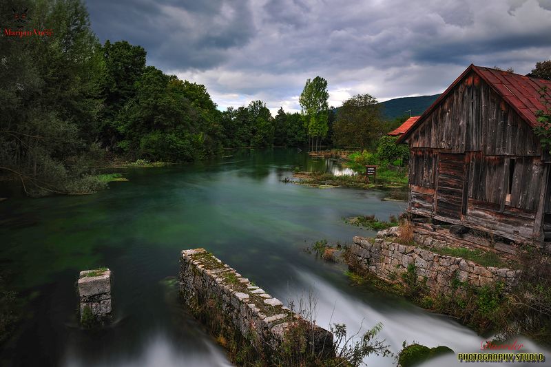 MVD фото превью