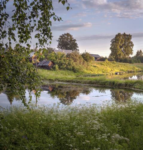 Деревенское утро