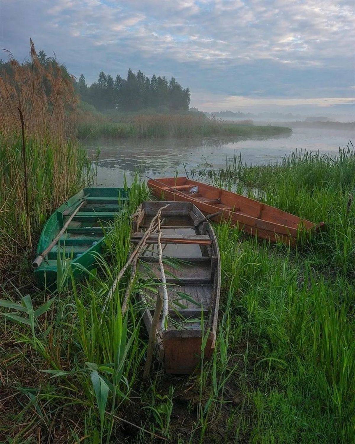 , Петр Косых