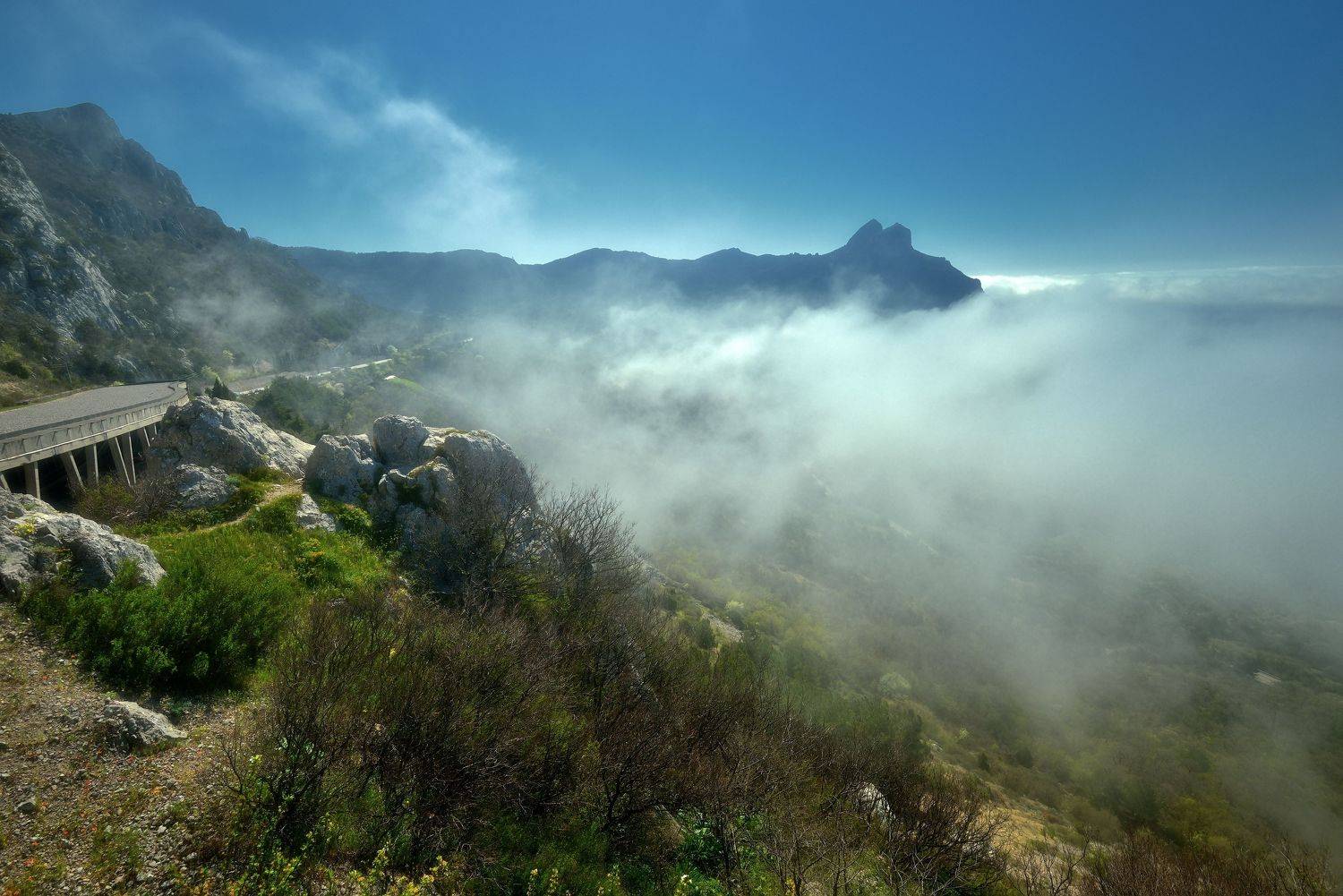 , Алексей Никонов