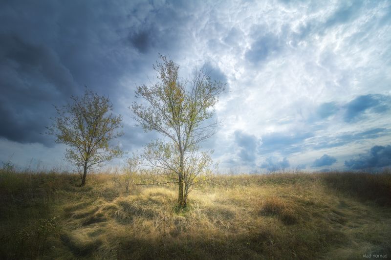 ... фото превью