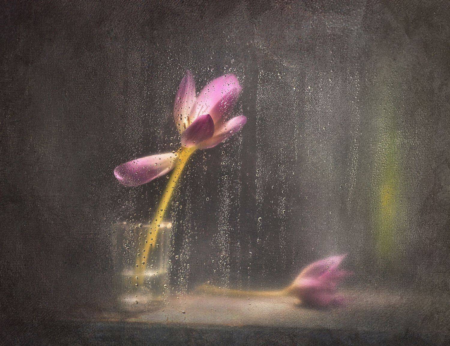 , Инна Буглак