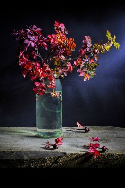 осень, краски шиповник, натюрморт, Краски осени. фото превью