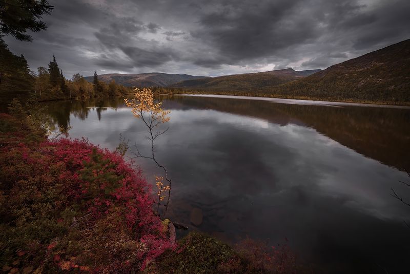 про кольскую осень.. фото превью