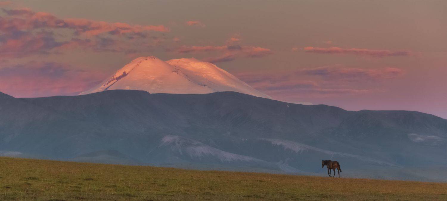 , ПУЗЕНКО ДМИТРИЙ