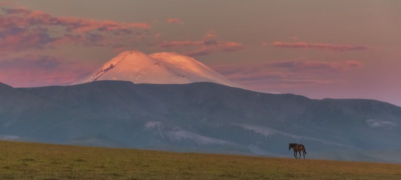 Утренняя прогулка фото превью