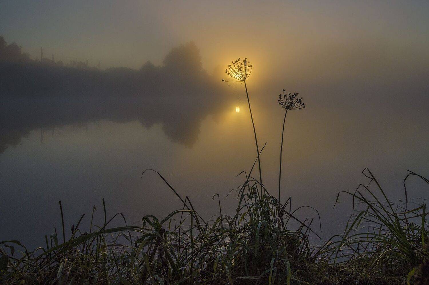 утро, рассвет, архангельское, Михаил Агеев