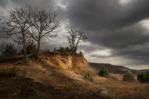 Январские прогулки