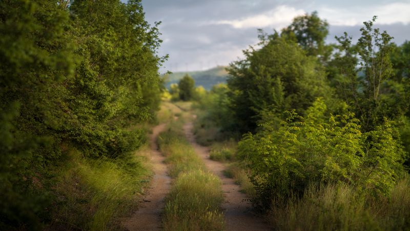 *** фото превью