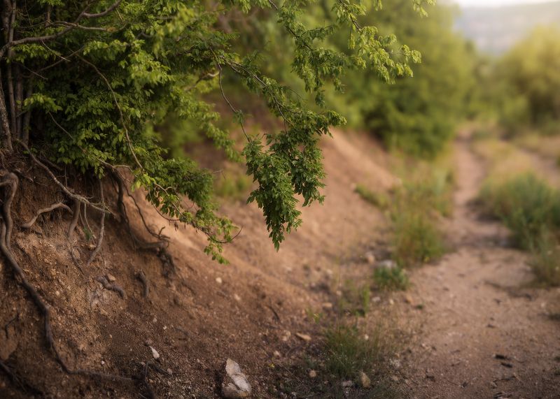 *** фото превью