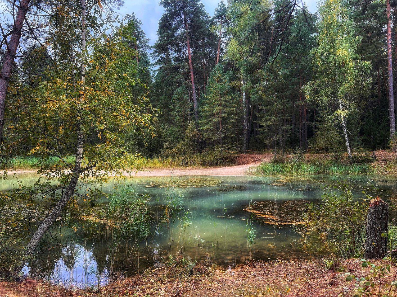 , Екатерина