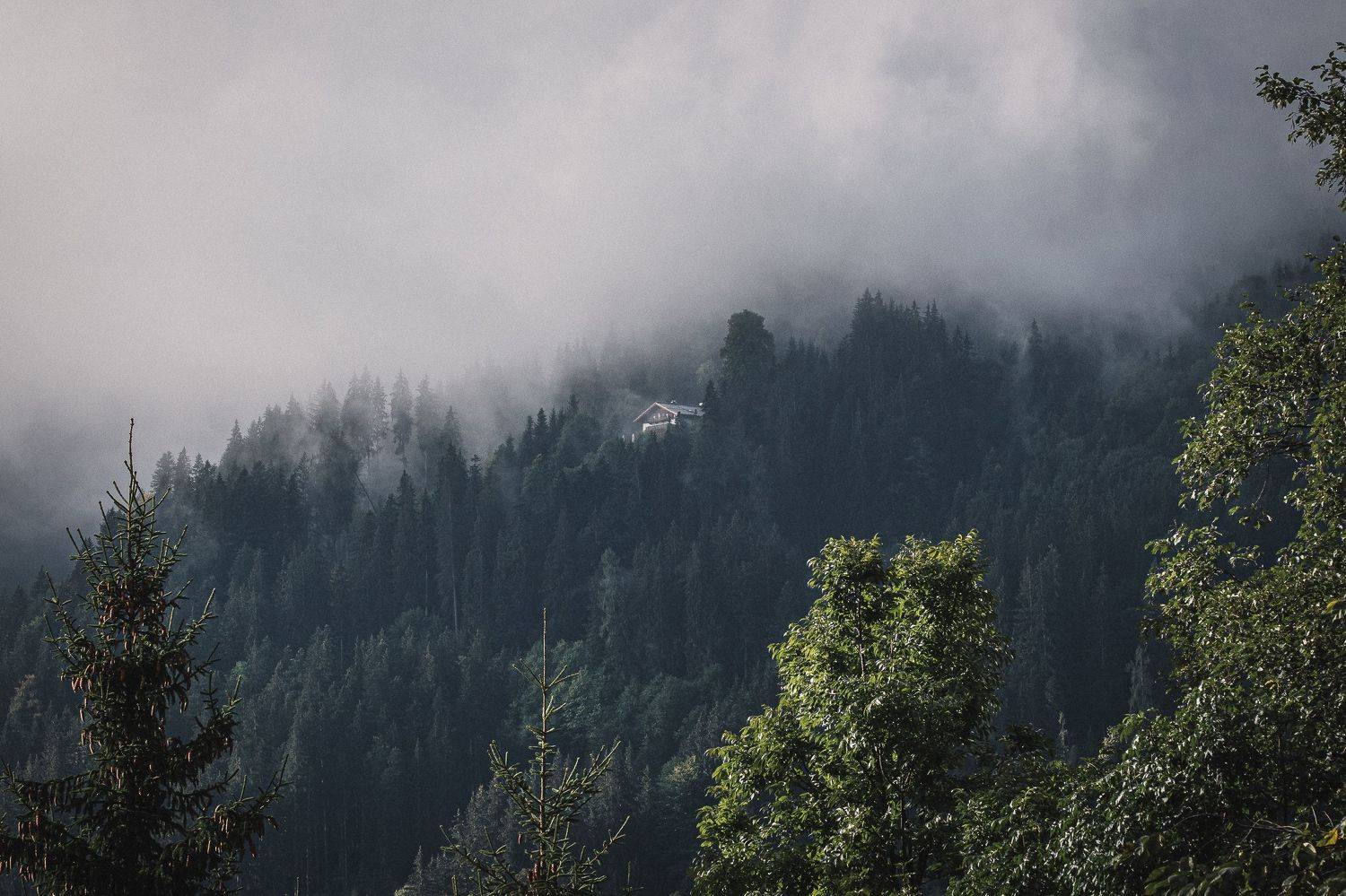 , Дмитрий Рябцев