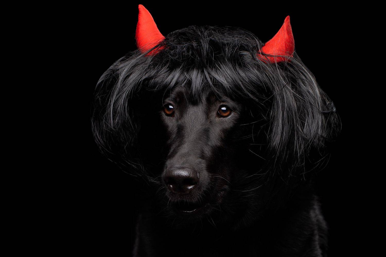 , Светлана Писарева