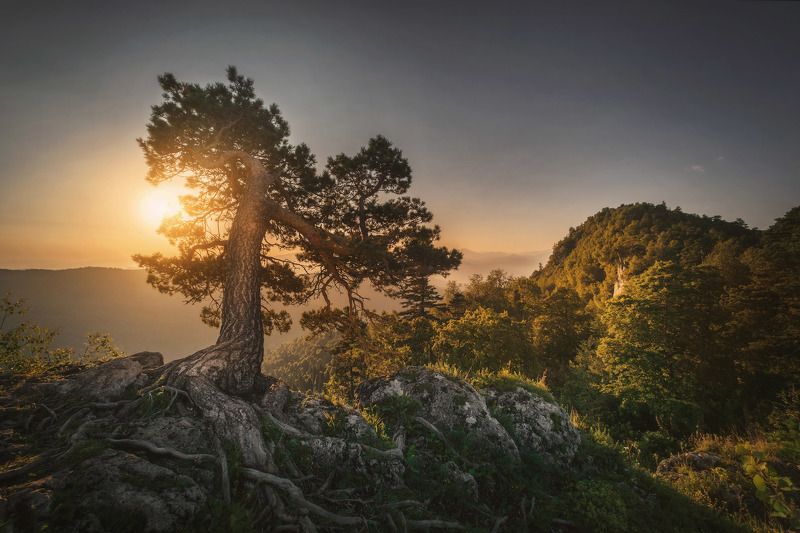 озеро, горы, лес, природа, закат, рассвет, красота, приключения, путешествие Рассвет на плато Лаго-Наки фото превью