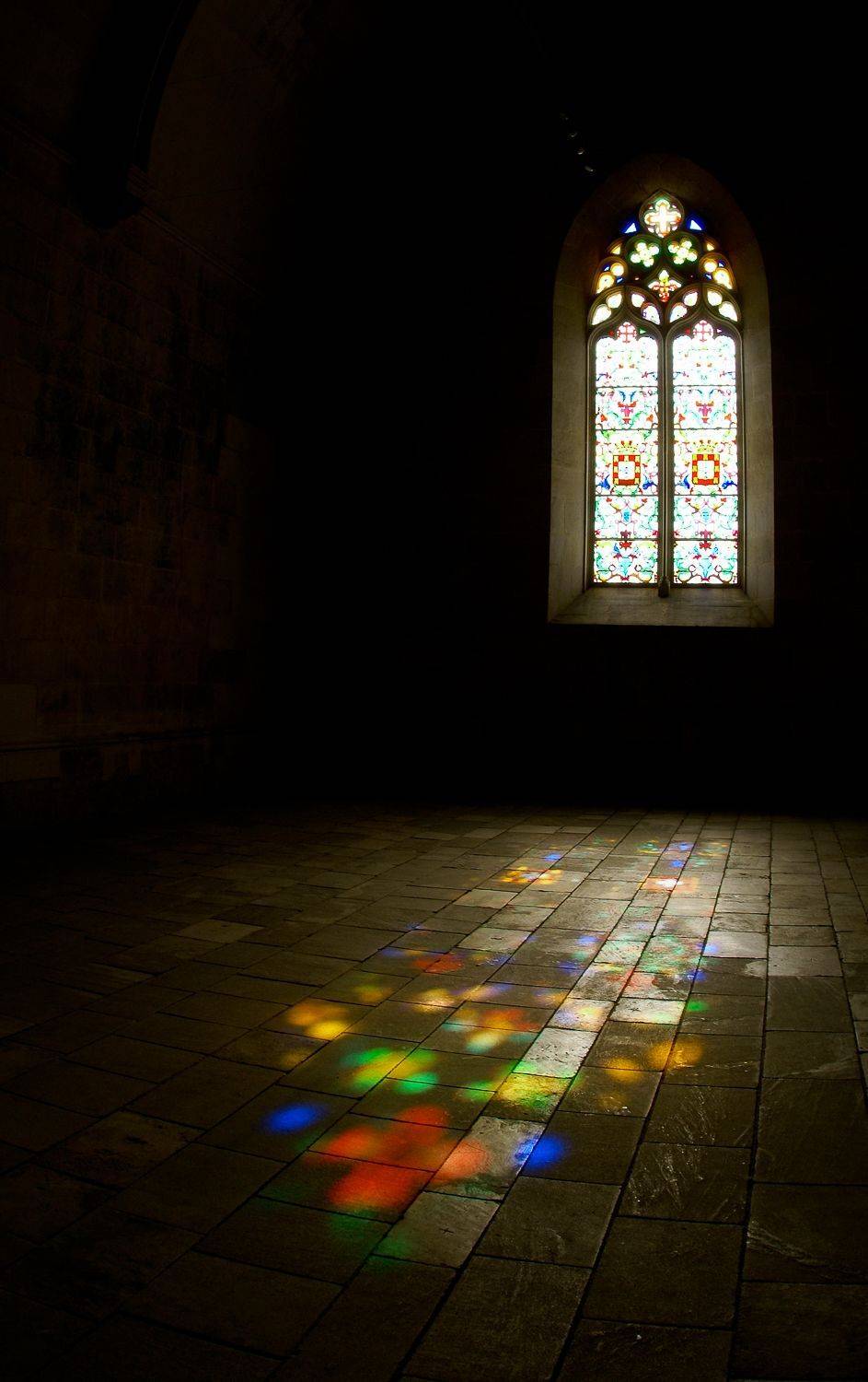 , Максимова Дария