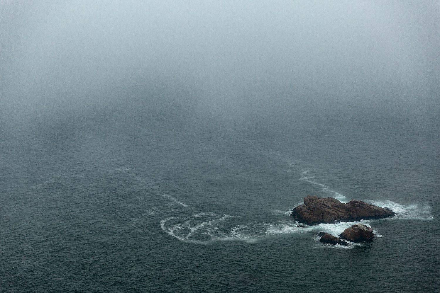 , Александр Сергиенко