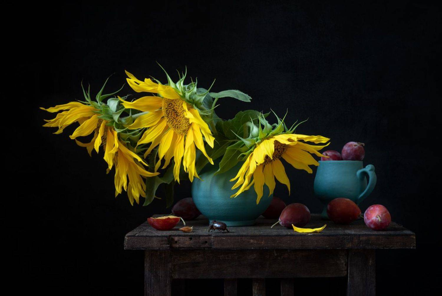 натюрморт, цветы, подсолнухи, Оля