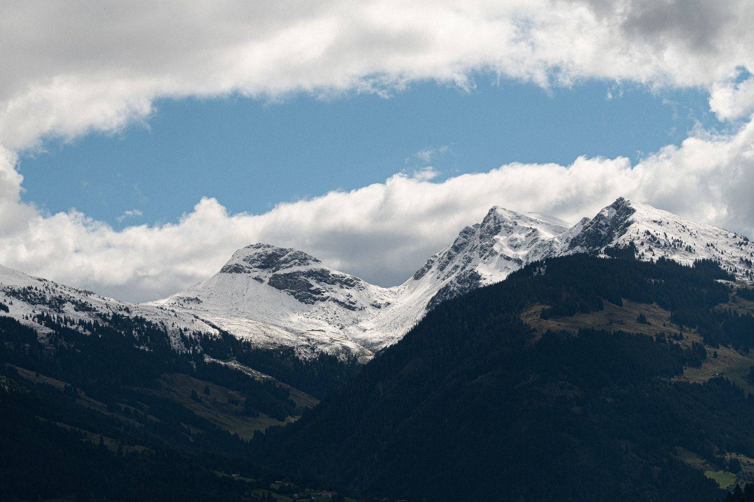 , Дмитрий Рябцев