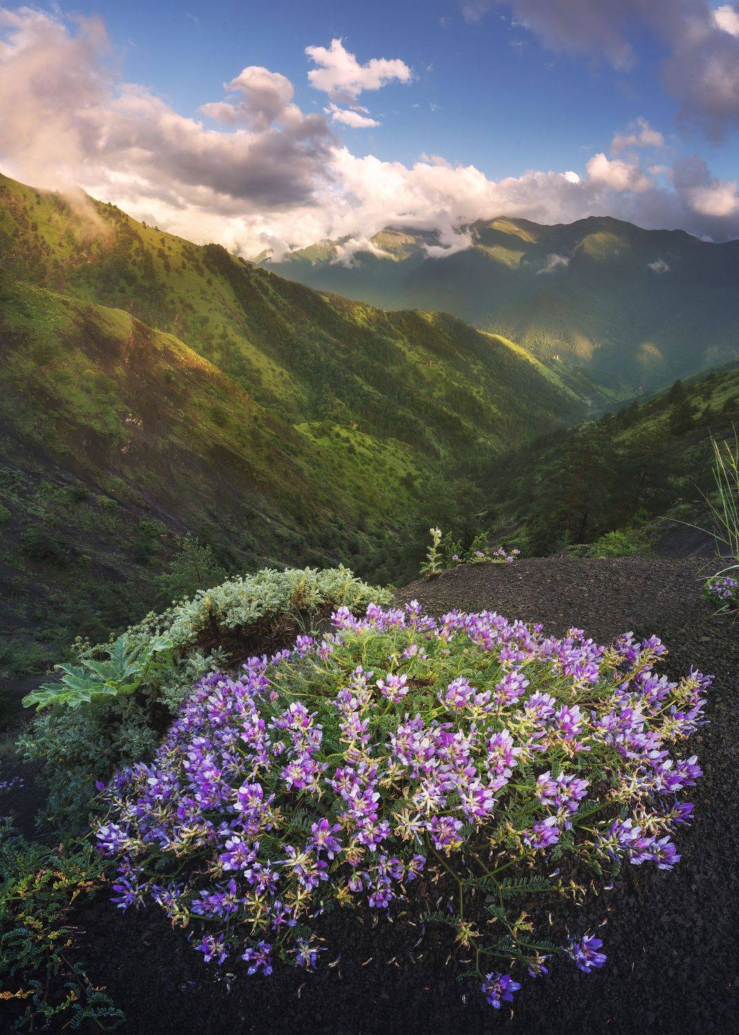 , Michael Kharitonychev