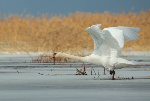 На взлетно-посадочной