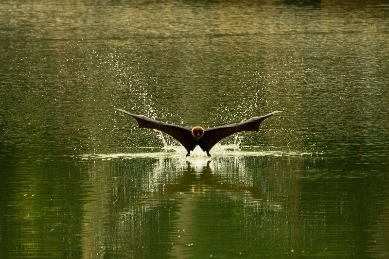Take a Bath фото превью