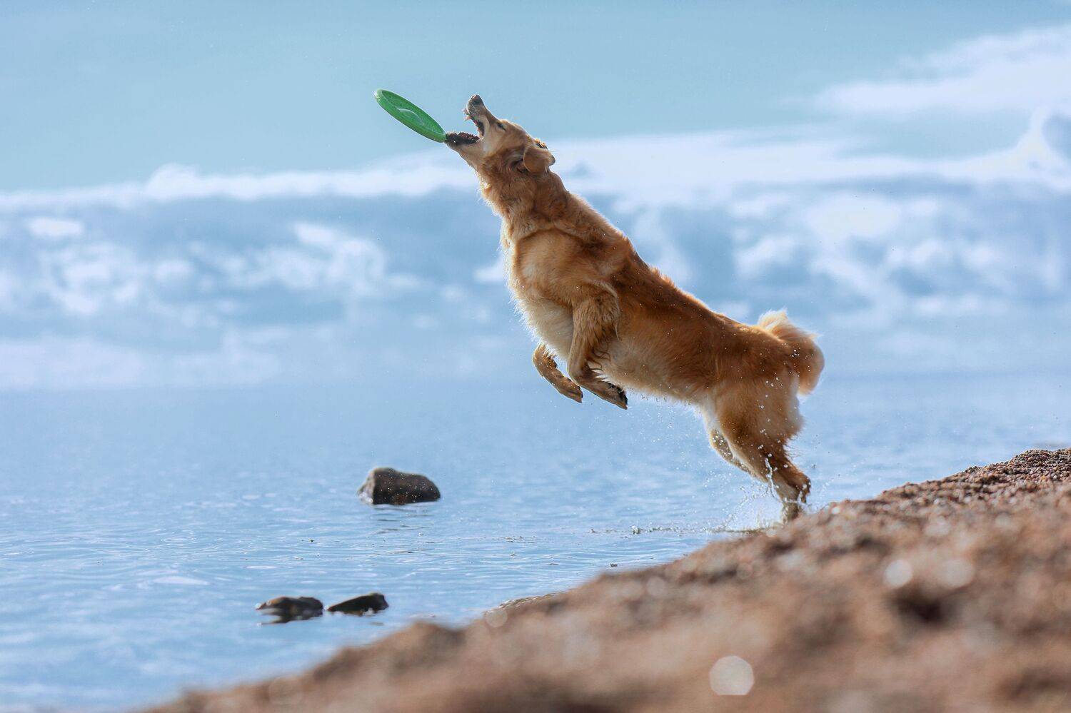 , Андрей Ершов