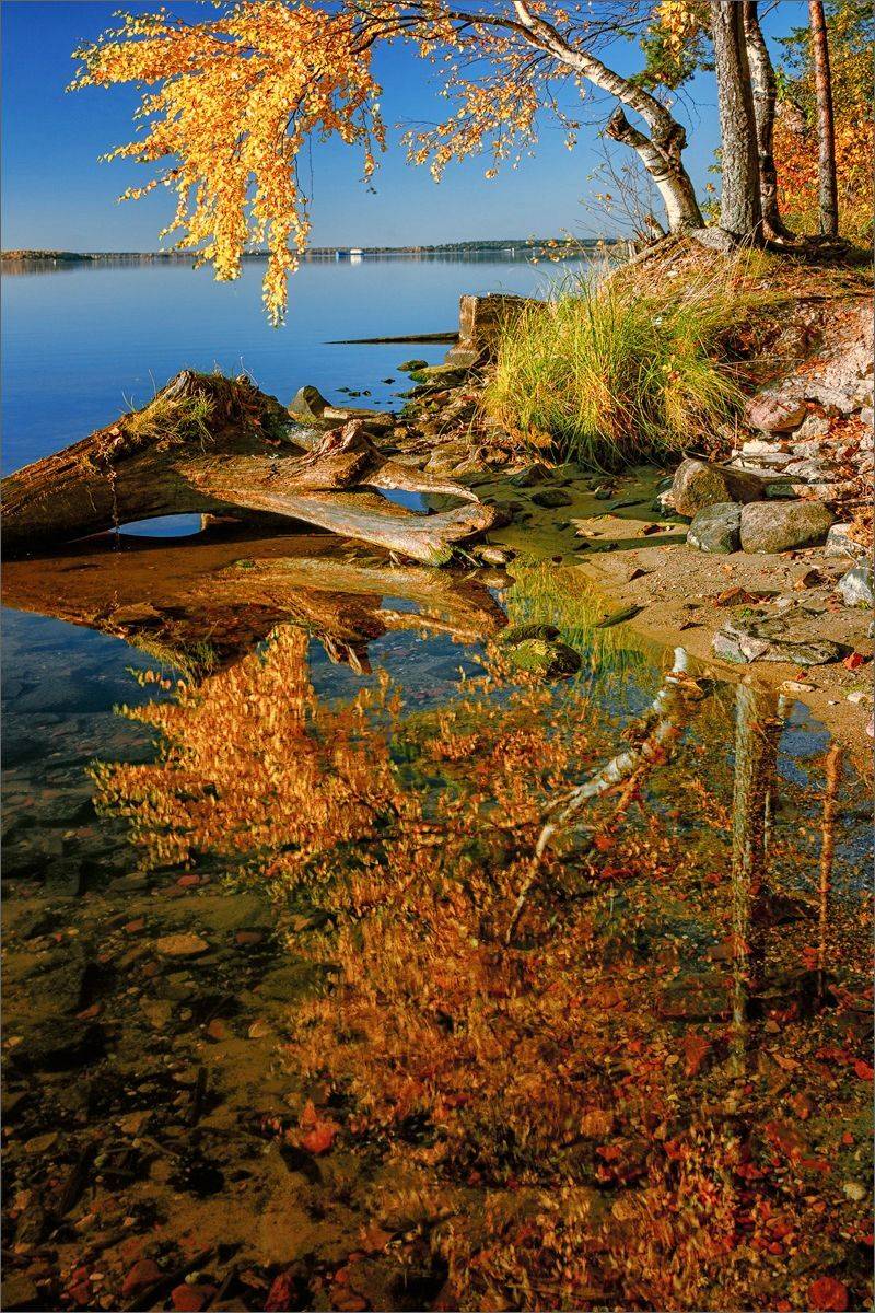 пейзаж, осень, вечер, озеро, отражение, свет, цвет, александр никитинский, Никитинский Александр