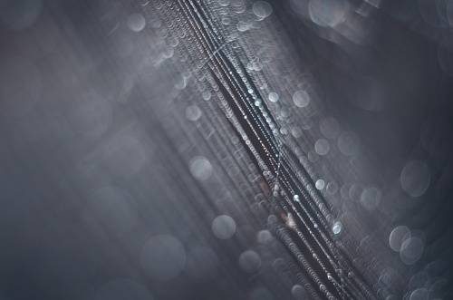 Про хрустальные струны осенних паутин.