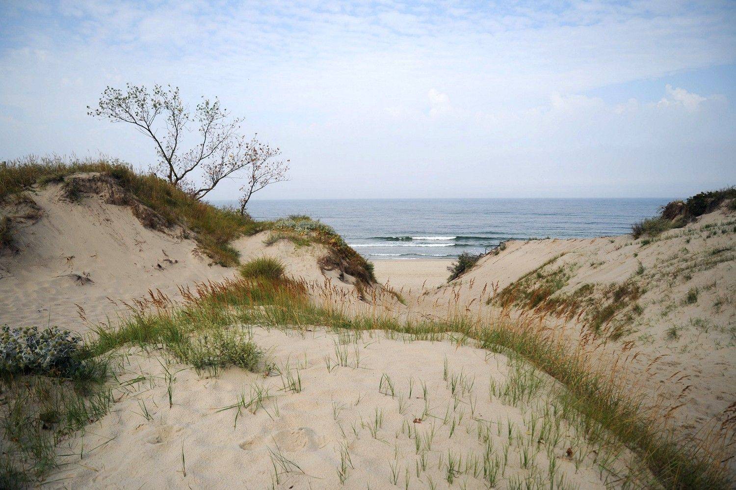 , Дарья Васильева