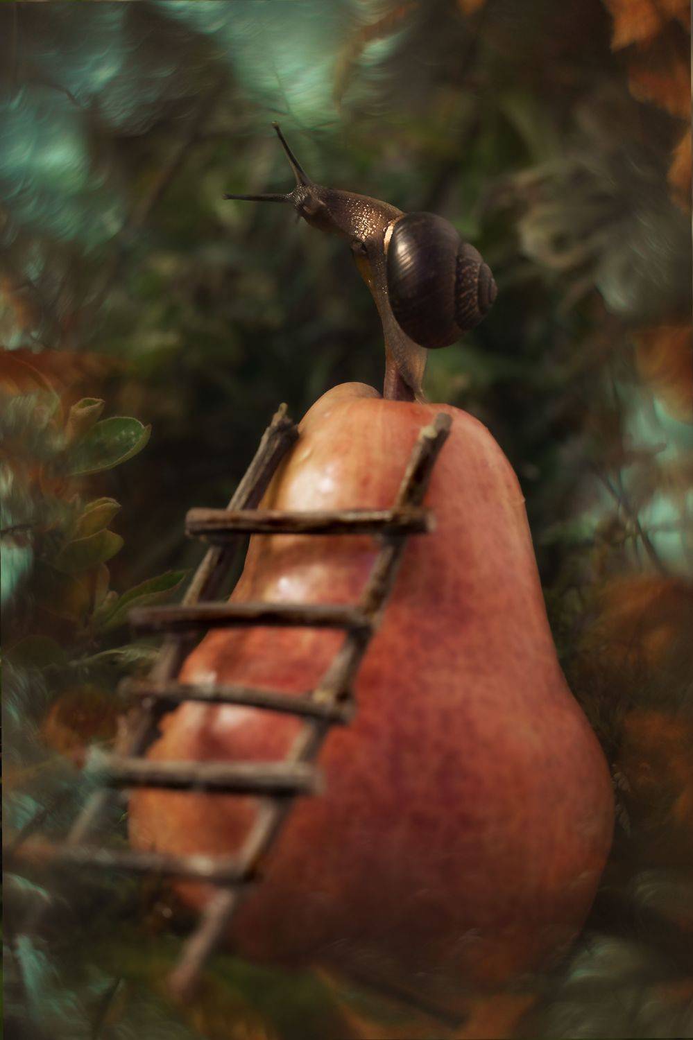 макро, природа, улитки, фрукты, macro, bokeh, snail, garden, fresh, Мария Обидина