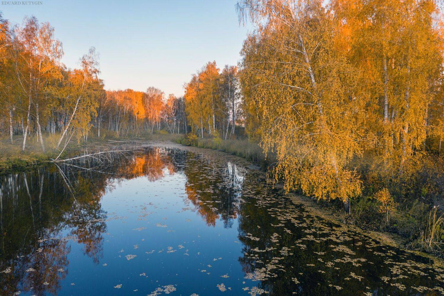 , Кутыгин Эдуард