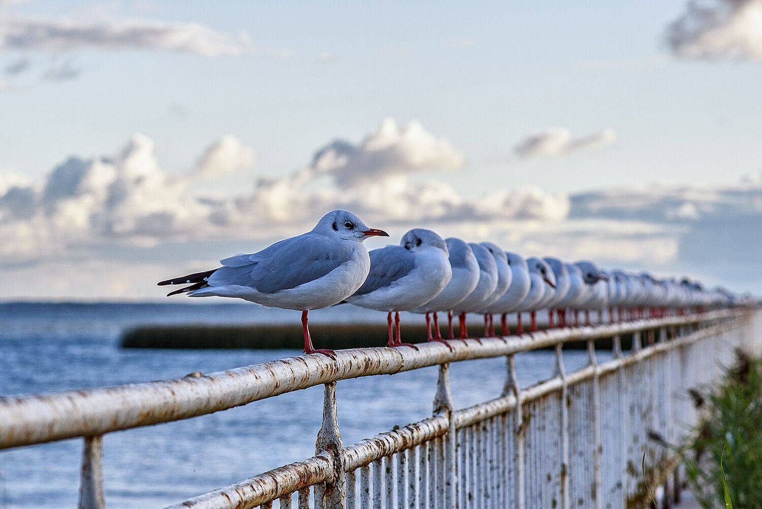 , Нуждин Андрей