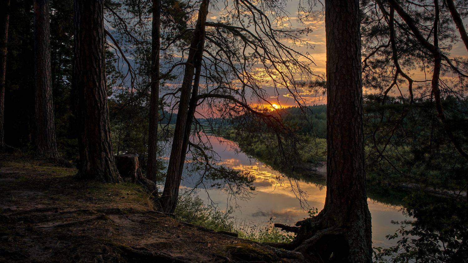 , Игорь Приданников