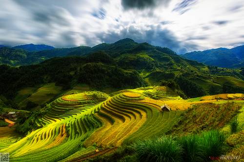 Golden Rice Terraces