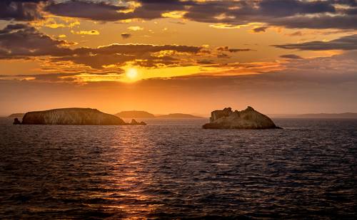 У берегов Новой Земли