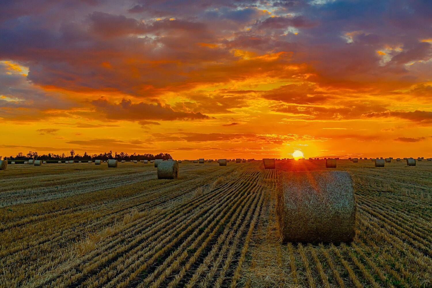 август, закат солнца,, Николай Бологов