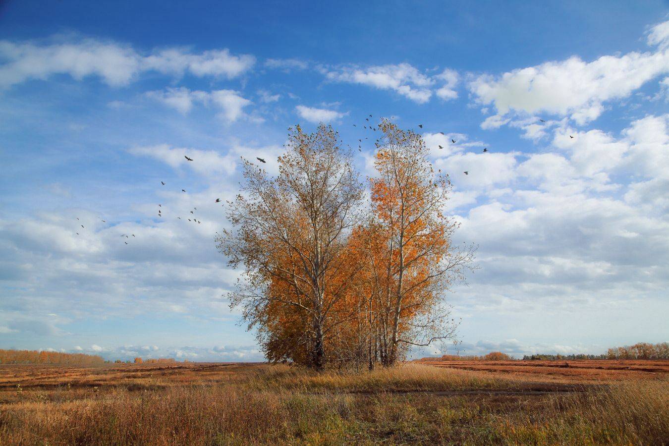 , Евгений Зинов