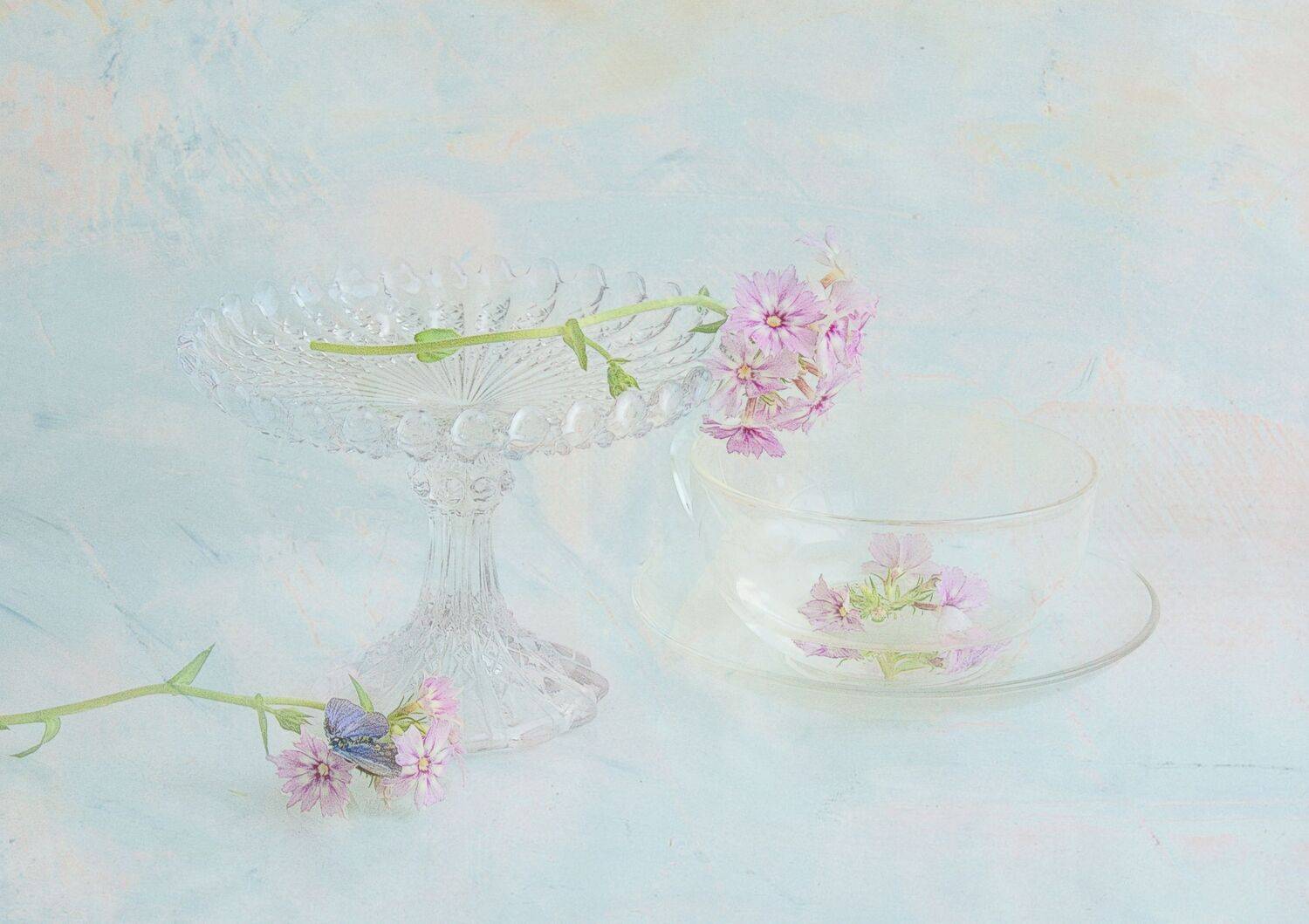 , Хохлова Наталья