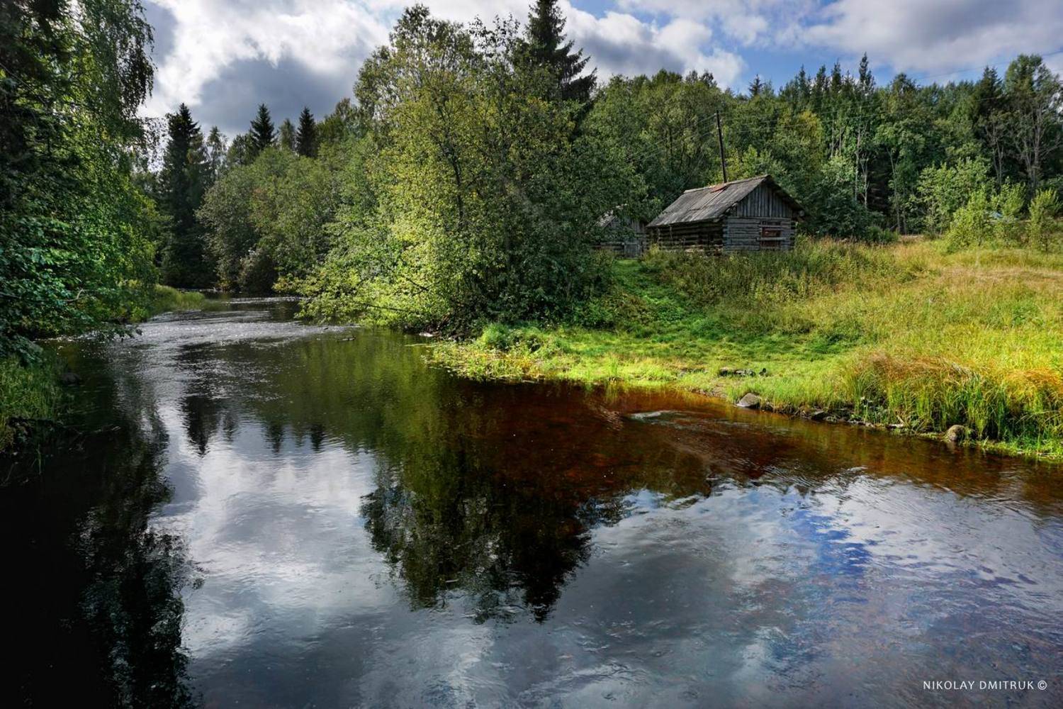 пейзаж, николай дмитрук