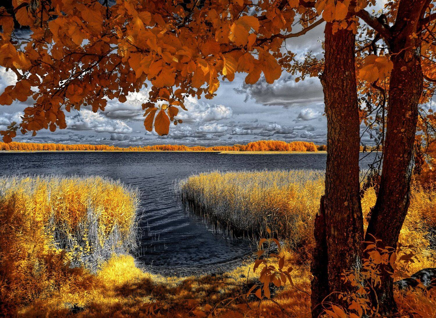 infrared,ик-фото,инфракрасное фото, инфракрасная фотография, пейзаж, лето,  Sixten (Сергей)