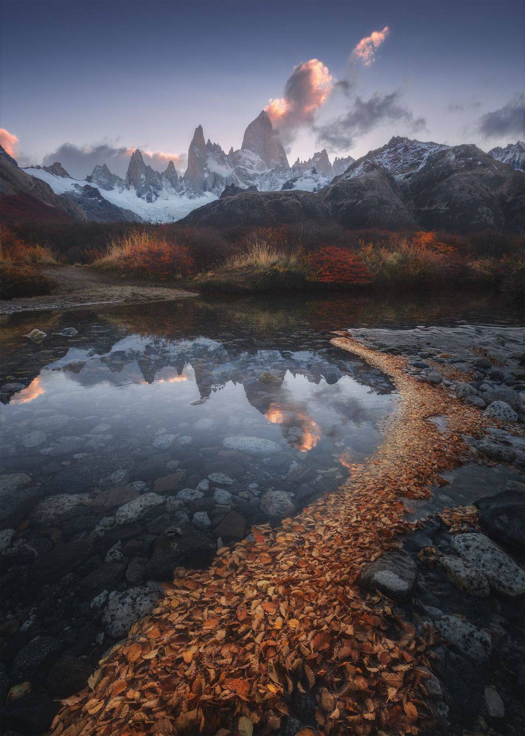 , Политова Анна