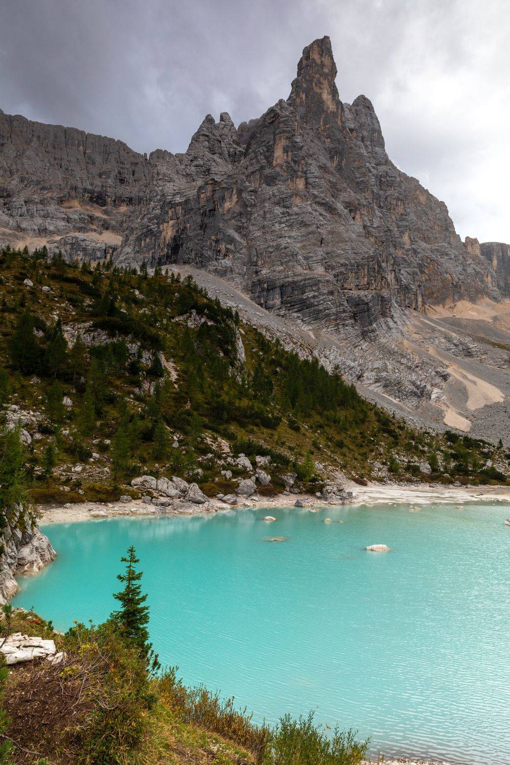 , Евгения Чех