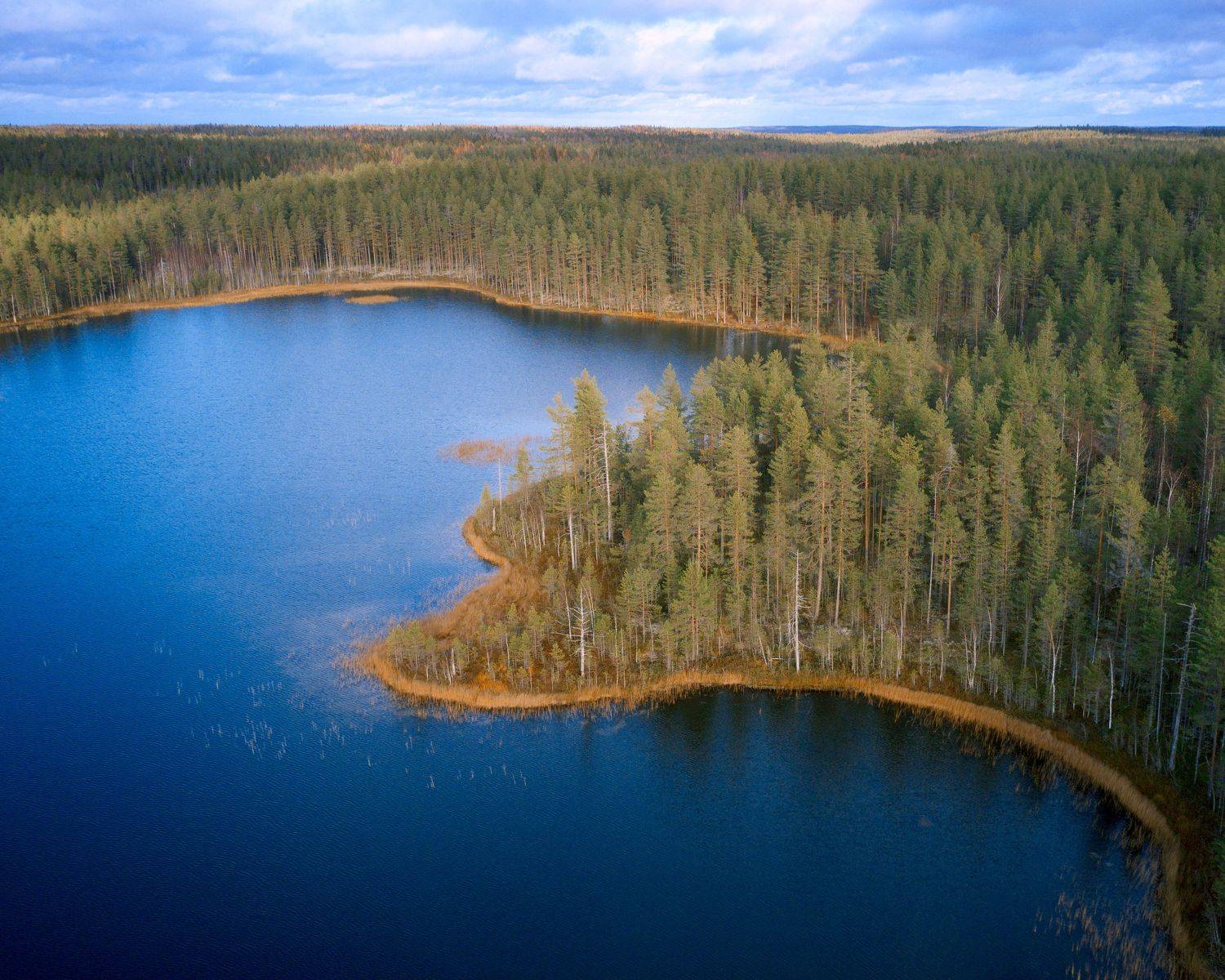 , Нуреев Камиль