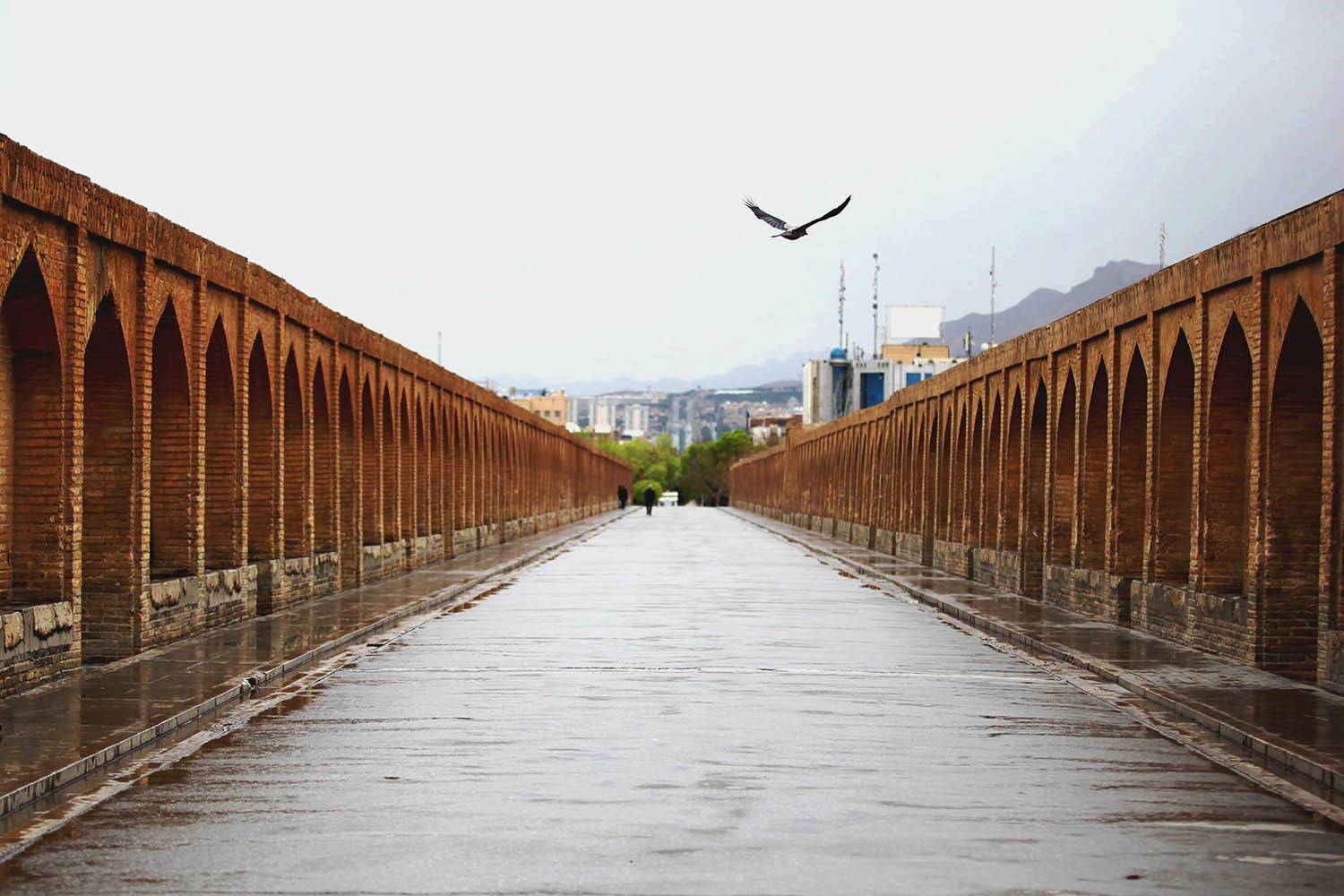 , mehdi karimi souderjani