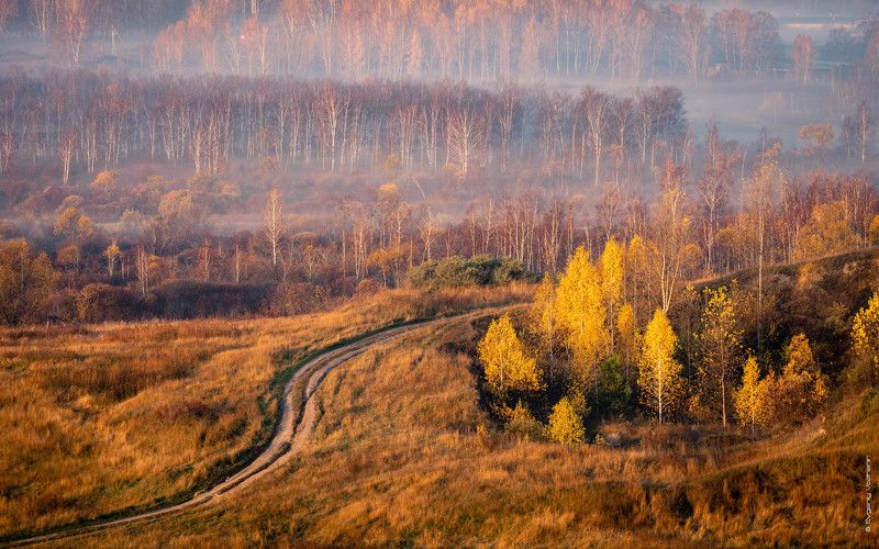 Золотая осень… Gold autumn… фото превью