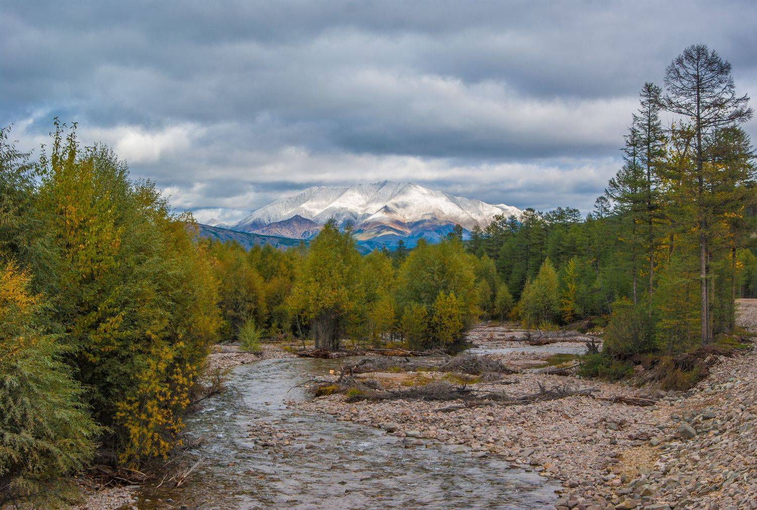 , Андрей Загребельный